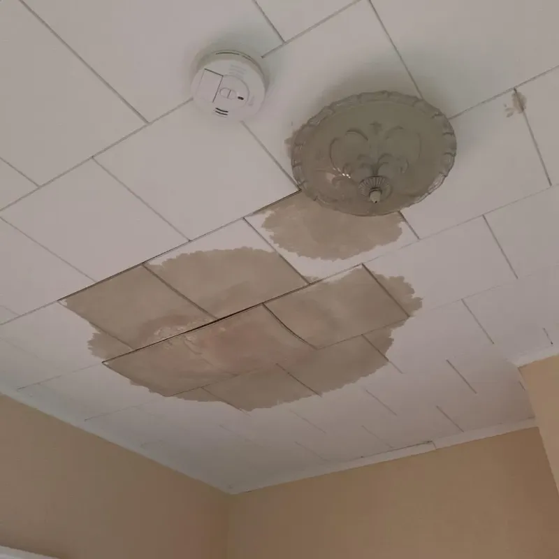 Ceiling Water Damage Repair in Jefferson Davis Parish, LA